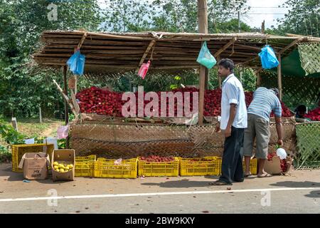 Fruits de ramboutan à vendre sur le bord de la route à Kandy au Sri Lanka. Ce fruit sucré et comestible est cultivé sur le rambutan. Banque D'Images