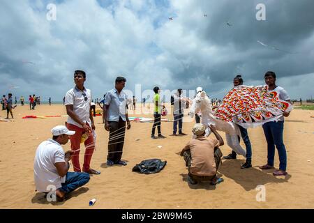 Un groupe d'hommes sri lankais prépare un cerf-volant pour un décollage de la plage de Negombo pendant le festival annuel de cerf-volant au Sri Lanka. Banque D'Images