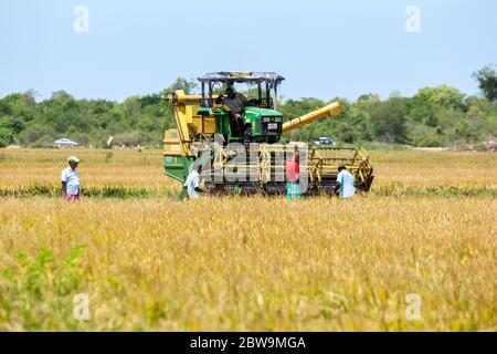 Une récolteuse mécanique est mise en place pour commencer à récolter un champ de riz près de Panama, dans l'est du Sri Lanka. Banque D'Images