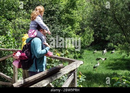 Zoo de Prague les gens de la famille, les visiteurs, regarder les oiseaux, bon événement pour une excursion d'une journée pour la famille avec les enfants Prague vie quotidienne des animaux zoo gens Banque D'Images