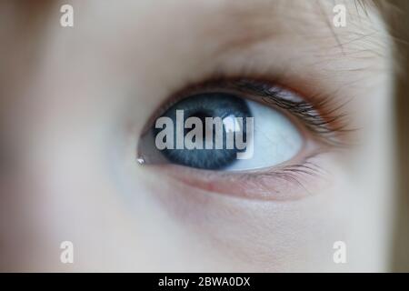 Gros plan yeux enfant joyeux, petit regard sur le monde Banque D'Images