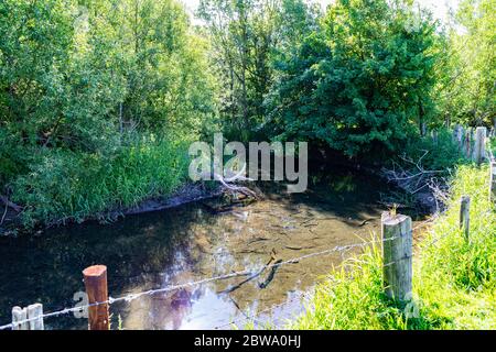 Une sélection de photos de Walking the Thames Walk dans les Cotswolds qui est à 184 miles de la Source près de Kemble à la fin à Londres Angleterre Banque D'Images