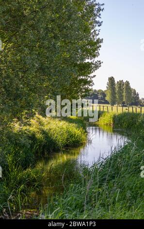 Une sélection de photos de Walking the Thames Walk dans les Cotswolds qui est à 184 miles de la Source près de Kemble à la fin à Londres Angleterre Banque D'Images