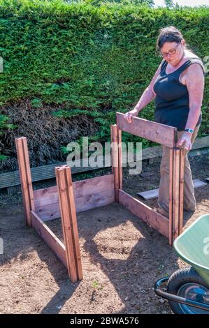 Femme construisant une traditionnelle fente en bois triple bac à compost. Banque D'Images