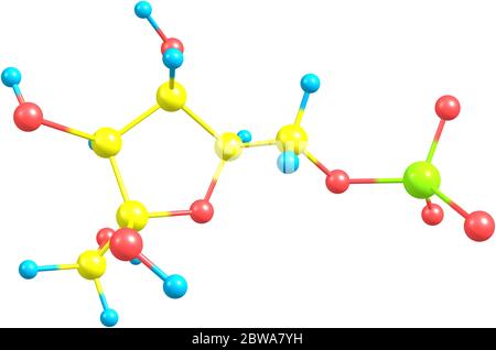 Le fructose 6-phosphate ou ester de Neuberg est un sucre de fructose phosphorylé sur le carbone 6. illustration 3d Banque D'Images