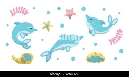 Dauphins, étoiles de mer et coquillages sur fond blanc. Illustration vectorielle en style dessin animé Illustration de Vecteur