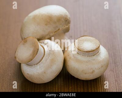 Trois champignons entiers crus sur une table en bois. Mini-champagnes à la lumière du jour Banque D'Images