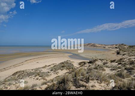 Australie occidentale Shark Bay - littoral de la plage de Manga Banque D'Images