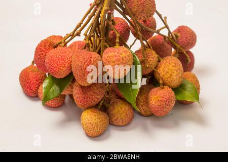 Vue rapprochée du litchi mûr sur fond blanc. Banque D'Images