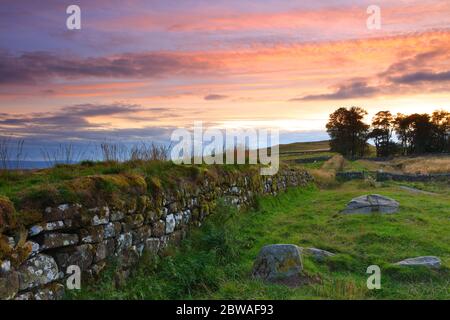 Mur d'Hadrien près de Steel Rigg au coucher du soleil, Northumberland, Angleterre, Royaume-Uni. Banque D'Images