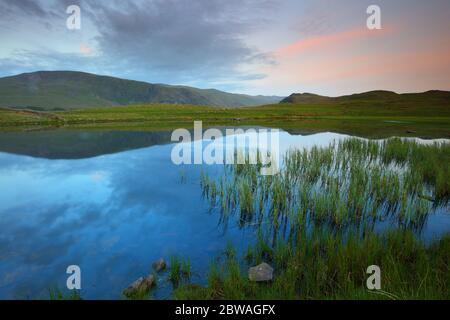 Soirée calme au Tewet Tarn avec Clough Head en arrière-plan. Lake District National Park, Cumbria, Angleterre, Royaume-Uni. Banque D'Images