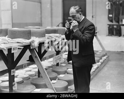Le jugement du fromage , principalement par le sens de l'odorat , au salon laitier du Royal Agricultural Halls , Islington , Londres . 17 octobre 1933 Banque D'Images