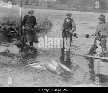 Filet de saumon à Totes weir sur la rivière Dart Banque D'Images