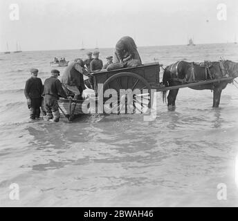 Pêche aux huîtres à l'écurie Whitstable 7 octobre 1919 Banque D'Images