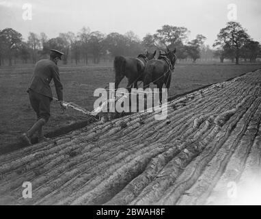 Soldat handicapé au service national sur le domaine du Duc de Westminster à Eaton Park , Chester, 17 novembre 1917 Banque D'Images