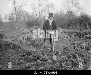 Un exemple pour les travailleurs d'allotement M. Robert James , qui a 97 ans , continue de travailler la plupart du temps sur une parcelle de terrain qui y sert de chalet à Uffculme , Devon, le 9 mars 1918 Banque D'Images