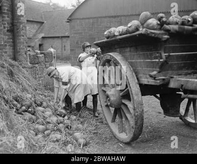 Filles au service national sur le domaine du Duc de Westminsters à Eaton Park , Chester, 17 novembre 1917 Banque D'Images