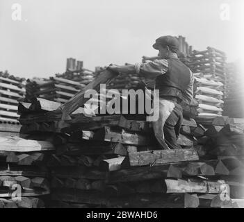 Fabrication de battes de cricket à John Wisden de piles de grumes de saule sélectionnées à fabriquer en lames de batte de cricket 21 mars 1920 Banque D'Images