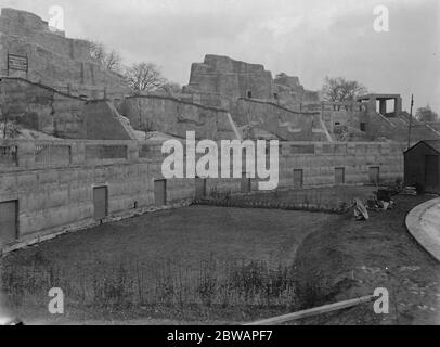 Au zoo les terrasses de mappin au zoo 13 janvier 1928 Banque D'Images