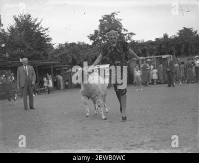 Madame Rosy Barsony , la star hongroise de la scène et du cinéma , en vacances à Londres . 25 août 1936 Banque D'Images