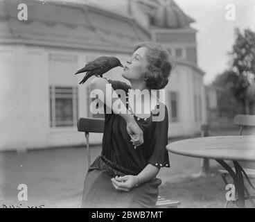 Jack ' s Lady ami . Une taqueuse à Karsino , Tagg ' s Island dans la Tamise en Angleterre , se fait des amis avec son juste admirateur . 10 septembre 1923 Banque D'Images