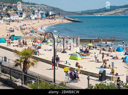 Lyme Regis, Dorset, Royaume-Uni. 31 mai 2020. Météo au Royaume-Uni: Les amateurs de plage floqués à la plage à Lyme Regis pour se prélasser dans le soleil chaud de l'après-midi chaud le jour le plus chaud de l'année jusqu'à présent. Crédit : Celia McMahon/Alay Live News Banque D'Images