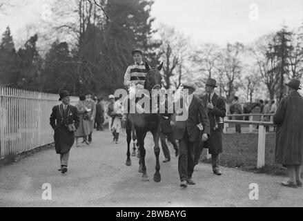 La rencontre de la course United Hunt à l'hippodrome de Lingfield Park , Surrey . Sir Peter Grant Lawson revient au paddock après avoir terminé troisième dans la steeplechase de Lingfield Hunter le 2 mai 1932 Banque D'Images