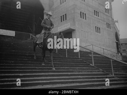 Un cheval de vache intelligent à Wembley . Un cowboy de rodéo à Wembley montrant les compétences de son mont en marchant sur l'un des vols de marches qui mènent du stade . 13 juin 1924 Banque D'Images