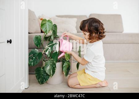 Mignon petit enfant, petite fille mauriquement, donnant de l'eau à la belle plante de maison monstera variegata dans le salon à la maison Banque D'Images