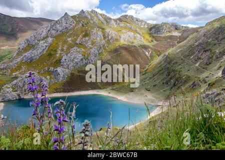 Lac de Cueva dans le parc national de Sexiedo, Espagne, Asturies. Lacs glaciaires de Saliencia. Vue de dessus du point de vue. Fleurs de printemps violets floues sur le f Banque D'Images