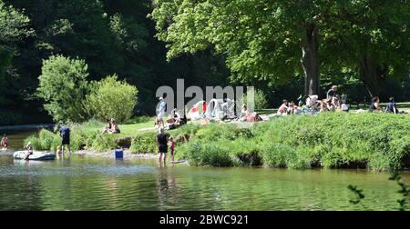 Peebles Scottish Borders, Royaume-Uni .31 mai 20 . Au soleil sur le parc Hay Lodge, les visiteurs et les habitants de la région apprécient la baignade par beau temps et le pique-nique au bord de la rivière Tweed. Crédit : eric mccowat/Alay Live News Banque D'Images