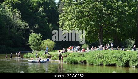 Peebles Scottish Borders, Royaume-Uni .31 mai 20 . Au soleil sur le parc Hay Lodge, les visiteurs et les habitants de la région apprécient la baignade par beau temps et le pique-nique au bord de la rivière Tweed. Crédit : eric mccowat/Alay Live News Banque D'Images