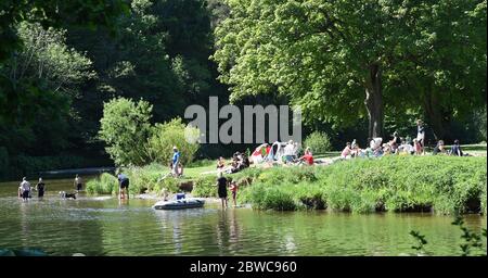 Peebles Scottish Borders, Royaume-Uni .31 mai 20 . Au soleil sur le parc Hay Lodge, les visiteurs et les habitants de la région apprécient la baignade par beau temps et le pique-nique au bord de la rivière Tweed. Crédit : eric mccowat/Alay Live News Banque D'Images