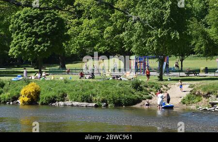 Peebles Scottish Borders, Royaume-Uni .31 mai 20 . Au soleil sur le parc Hay Lodge, les visiteurs et les habitants de la région apprécient la baignade par beau temps et le pique-nique au bord de la rivière Tweed. Crédit : eric mccowat/Alay Live News Banque D'Images