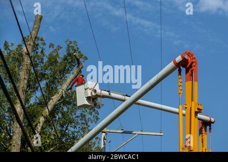 Un homme sur la plate-forme aérienne élagage des branches d'arbre avec une tronçonneuse de grue pendant la coupe d'un arbre au printemps Banque D'Images