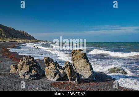 Rochers sur la plage près de te Humenga point, Palliser Bay, Cook Strait, Cape Palliser Road, Wairarapa Coast, Wellington Region, North Island, Nouvelle-Zélande Banque D'Images