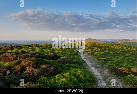 CAER Caradoc, The Lawley, The Wrekin, vu de l'Annuaire sur le long Mynd, Church Stretton, Shropshire Banque D'Images