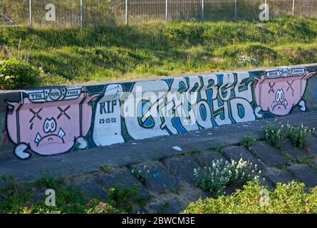 Portobello, Édimbourg, Écosse, Royaume-Uni. 31 mai 2020. Un hommage aux graffitis a été peint à l'extrémité Seafield de Portobello Beach, à la suite de la mort tragique de George Floyd, alors que des manifestants aux États-Unis manifestent contre la brutalité policière envers les Afro-Américains.les mots « RIP 25/05/2020 George Floyd », Sont écrits à côté de cochons têtes derrière les barreaux et le nom de l'officier de police de Minneapolis en dégrissement Derek Chauvin, qui a été accusé de l'assassinat de M. Floyd. Crédit : Arch White/Alay Live News. Banque D'Images