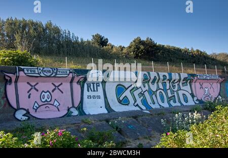 Portobello, Édimbourg, Écosse, Royaume-Uni. 31 mai 2020. Un hommage aux graffitis a été peint à l'extrémité Seafield de Portobello Beach, à la suite de la mort tragique de George Floyd, alors que des manifestants aux États-Unis manifestent contre la brutalité policière envers les Afro-Américains.les mots « RIP 25/05/2020 George Floyd », Sont écrits à côté de cochons têtes derrière les barreaux et le nom de l'officier de police de Minneapolis en dégrissement Derek Chauvin, qui a été accusé de l'assassinat de M. Floyd. Crédit : Arch White/Alay Live News. Banque D'Images