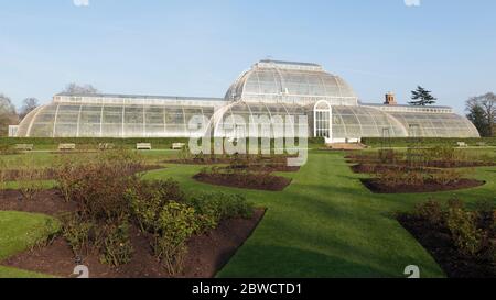 Le jardin de roses de Palm House au printemps avec le Palm House en arrière-plan, Kew Gardens, Londres, Angleterre Banque D'Images