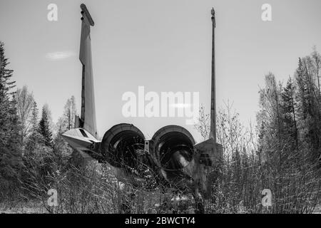 Cette F15 meurt lentement dans la forêt de l'Alaska. Banque D'Images