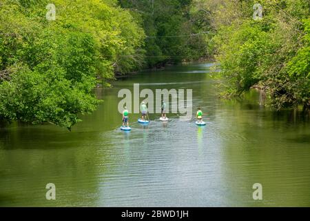 USA Maryland MD activités de loisirs en plein air stand up paddle board sur Seneca Creek dans le comté de Poolesville Montgomery Banque D'Images