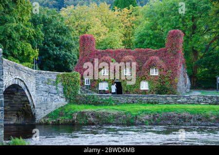 Llanrwst, pays de Galles du Nord, Royaume-Uni: 14 sept 2017: Les salons de thé gallois traditionnels de la Virginie, vêtus de Tu Hwnt i’r Bont été construits comme une résidence résidentielle Banque D'Images