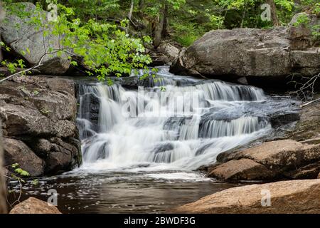 Une petite cascade sans nom sur Hatchery Brook dans les montagnes Adirondack près de Speculator, NY USA Banque D'Images