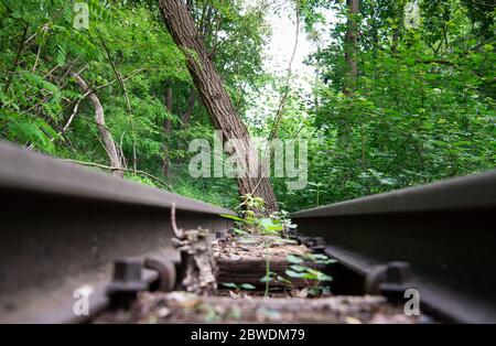 27 mai 2020, Brandebourg, Kleinmachnow: Partiellement surcultivé des chemins de fer et un arbre qui s'enfert entre les voies près de Berlepschstraße ou de l'ancienne station de S-Bahn Düppel. Le chemin de fer principal est la ligne de chemin de fer approximativement droite entre Potsdam via Griebnitzsee, Kleinmachnow et Zehlendorf à Berlin/Potsdamer Platz, qui est entré en service en 1838 comme première ligne de chemin de fer prussien et a été étendu à Magdeburg. La connexion a été détruite pendant la guerre et est toujours interrompue aujourd'hui. Il y a plusieurs propositions pour la relance de la ligne principale, mais aussi des protestations d'une alliance Banque D'Images