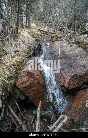 Ephemeral Cascade Trailside dans le parc Horsethief sur le sentier des chutes Horsethief, Pike National Forest, Divide, Colorado Banque D'Images