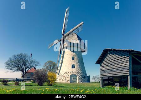 Ancien moulin avec ailes sur une colline verte de Lettonie au printemps. Près du moulin est un nid de cigognes. Parc national de Gauja. Lettonie Banque D'Images