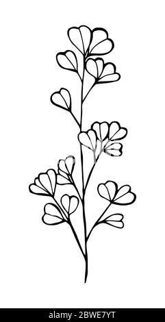 Dessin de contour d'eucalyptus de couleur noire isolé sur fond blanc, illustration de vecteur en nid d'abeille pour le design et la décoration, tatouage, autocollant, logo, p Illustration de Vecteur