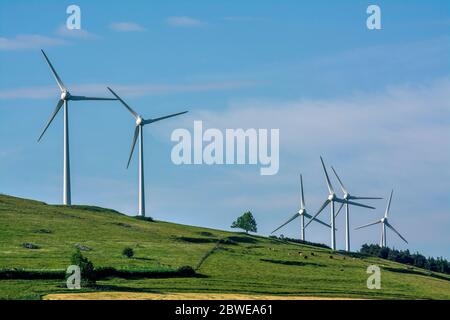 Éoliennes. Plateau de Cezallier. Parc naturel régional des Volcans d'Auvergne. Puy de Dôme. Auvergne. France Banque D'Images