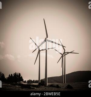 Éoliennes. Plateau de Cezallier. Parc naturel régional des Volcans d'Auvergne. Puy de Dôme. Auvergne. France Banque D'Images